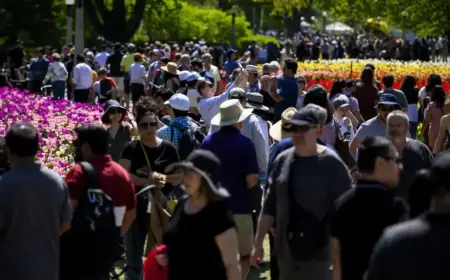 Canada’s Slowing Population Growth Sparks Economic Transformation