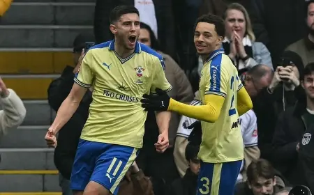 Southampton FC Stun Fulham In FA Cup As Ross Stewart’s Late Penalty Decides Tie