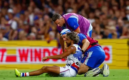 Harris Andrews Suspension Leaves Lions Without Key Defender for Three Games