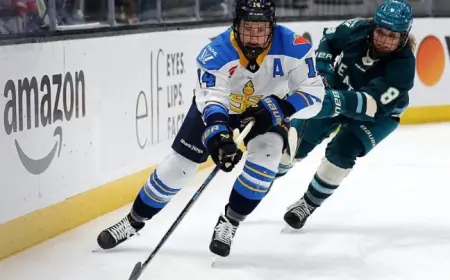 PWHL Sellout at Madison Square Garden Expected to Break Attendance Record