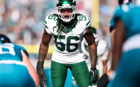 Top Linebacker Fits for Detroit Lions: Anzalone Replacements Preview