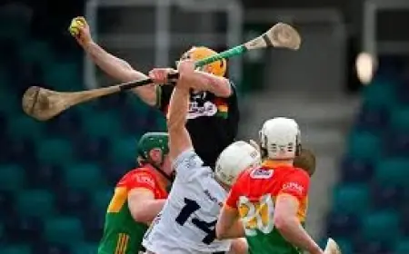 Clare Vs Wexford finished 0-26 to 1-20; Division 1B final unknowns remain