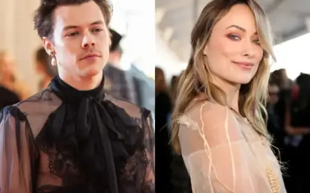 Harry Styles’ Lyrics Suggest Olivia Wilde Split Over Children’s Concerns