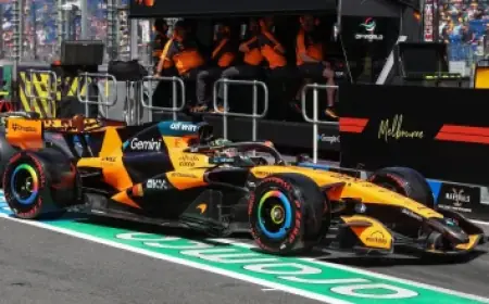 Austin Wells Is Playing for Dominican Republic in the 2026 World Baseball Classic