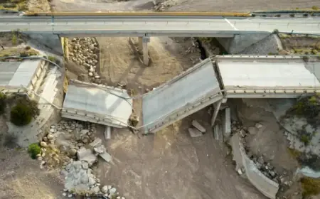 Satellites Reveal Vulnerable Bridges Across the Globe