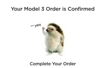 Exploring the Origins and Significance of This Concept