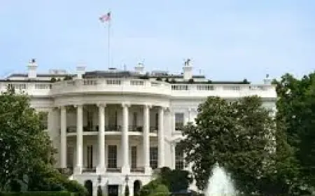 Brent Oil Price Volatility Forces Policy Rethink for Consumers and Producers