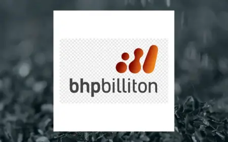 Bhp Share Price Shift Hits Investors as Analysts Raise Targets and Guidance Changes
