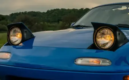 Unveiling the Secret Handshakes Among Car Owners: A Wink, Nod, or Duck