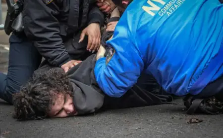 NYPD Confirms Dud Bombs Thrown at Gracie Mansion Protesters in Terror Scare