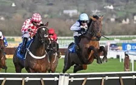 William Hill: Cheltenham Festival 2026 Dates and Race Times Confirmed
