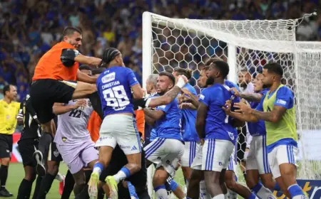 Cruzeiro and Atlético-MG Final Ends With 23 Expulsions in Match Report