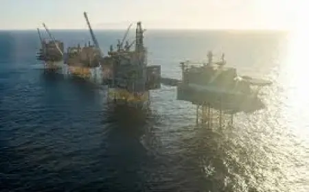 Oil Price Today: G7 Talks Could Prompt Coordinated Reserve Releases