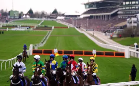 Good to Soft Start, Re-sited Hurdles Await Cheltenham Runners After Watering