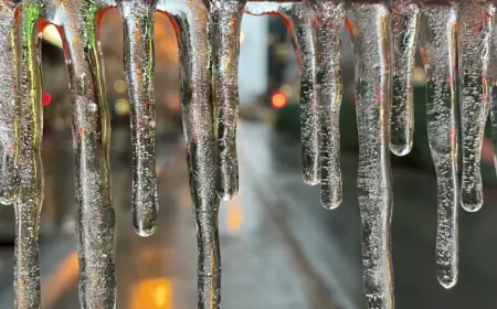 Power and transit disruptions threaten Montreal residents as freezing rain nears — The Weather Network