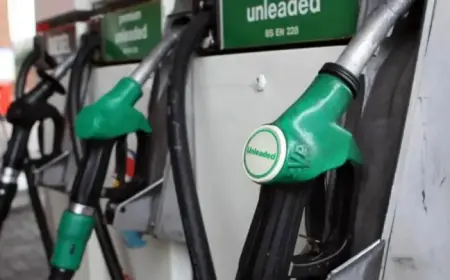 Top Spots for Budget-Friendly Petrol and Diesel