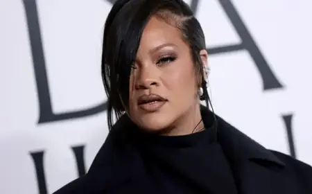 Arrest Made After Shooting Targets Rihanna’s Home