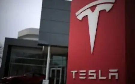 Investors Face a Large Valuation Gap as Tsla Trades Far Above DCF Estimate