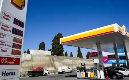 Experts Analyze Impact of Oil Prices Surpassing $100 Mark