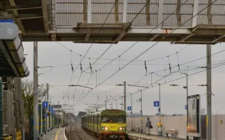 Dublin commuters lose 10 stations during Dart Service Suspension for line works