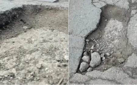 Pothole Damages Toronto Charity Organizer’s Vehicle, Costs $2000 Repair