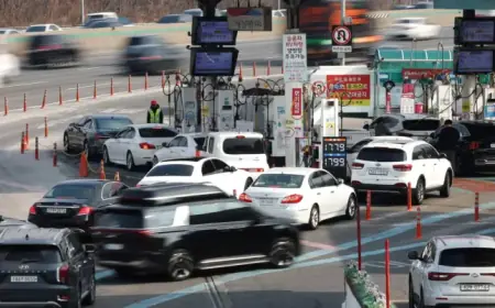 G7 Decides Against Immediate Oil Reserve Release, Official Confirms