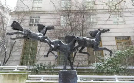 Cold Front Brings Potential Snow to Portland This Week