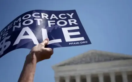 Billionaires Contribute 19% of 2024 Federal Election Campaign Funds