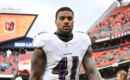 Patriots Sign Dre’Mont Jones: Instant Free Agency Grades