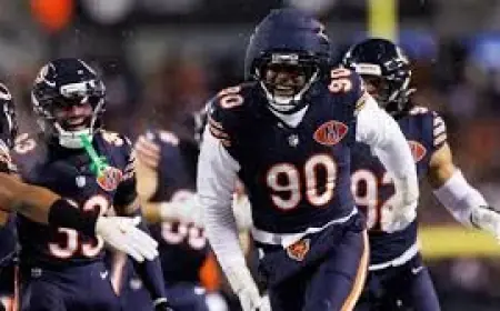 Texans Nfl Free Agent Signings: Big Names vs Smart Signings Examined