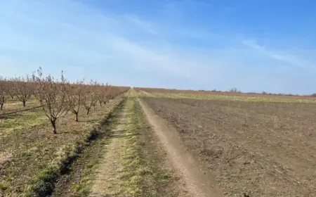 ANM Forecast Shows Warmer Early March; Vremea De Mâine Points Toward Drier Trends