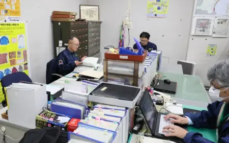 Japan Tsunami 2011: 2,519 Still Unaccounted Reveals Ongoing Recovery Strain