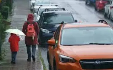 Ontario Snow Storm Signals Rising Risk of Freezing Rain and Flooding