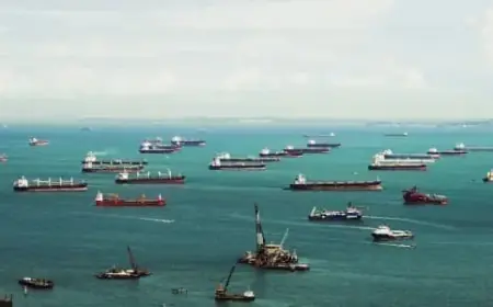 Chokepoint Economy Unveiled: Consequences of Collective System Failures