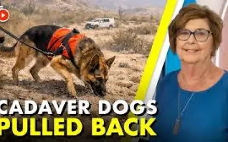 Nancy Guthrie Update Today: Day 39 — Cadaver Dogs Pulled Back, Elder Abuse Theory Surfaces, Sheriff Says "Definitely Closer"