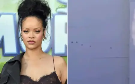 Police Identify and Arrest Woman for Alleged Attempted Murder at Rihanna’s Home