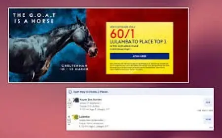 Skybet headline contrasts with Paddy Power’s 60/1 Arkle specials on Lulamba and Kopek Des Bordes