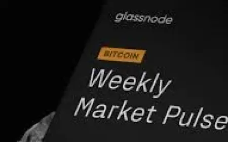 Sell Bitcoin: How a Near-50% Crash Left Holders Exposed and What Comes Next