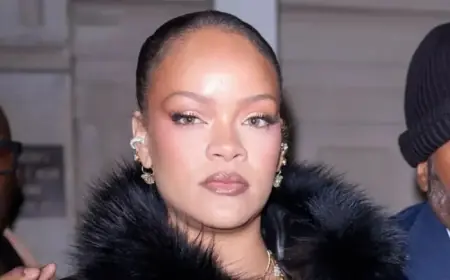 Florida Woman Fires AR-15 at Rihanna’s Residence