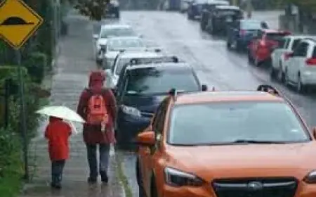 Toronto Weather: Significant rainfall forecast with up to 40 mm expected