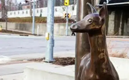 Guelph Weather: Snow, ice and flood risks sweep across Ontario