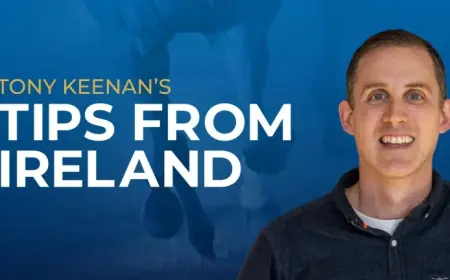 Irish Racing at Naas: Tony Keenan lines up key plays and pitfalls for Sunday