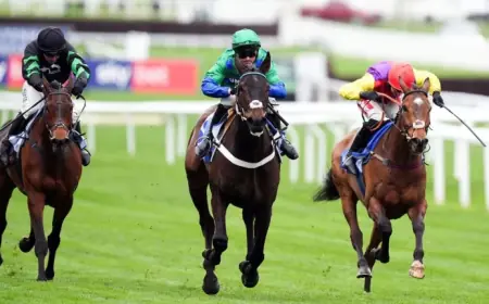 Nico De Boinville’s Ride on Old Park Star Shifts Supreme Novices’ Hurdle Momentum at Cheltenham