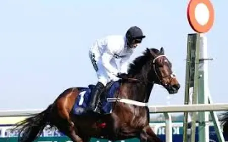 Nicky Henderson: ‘If you want soft, you haven’t got it’ — Cheltenham Farewell Reveals Five Plain Truths