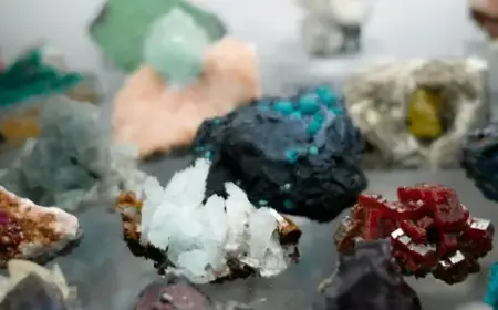 “Discover 2023’s Must-Watch Family Film: ‘Little'”