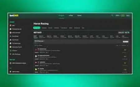 Kopek Des Bordes: Why the 60/1 Arkle Gamble Has a Festival-Shaping Edge