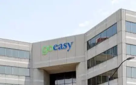 Gsy Stock: Three Red Flags After goeasy’s $178M LendCare Hit