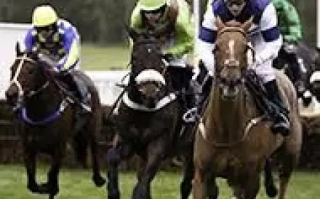 Hansard silence or scrutiny? 32 Cheltenham horse deaths expose a welfare contradiction