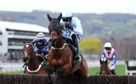 Racing Results: Kargese’s Arkle Upset and a British 1-2-3 at Cheltenham