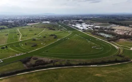 Hansard Horse Dies after Fall in Singer Arkle at Cheltenham Festival